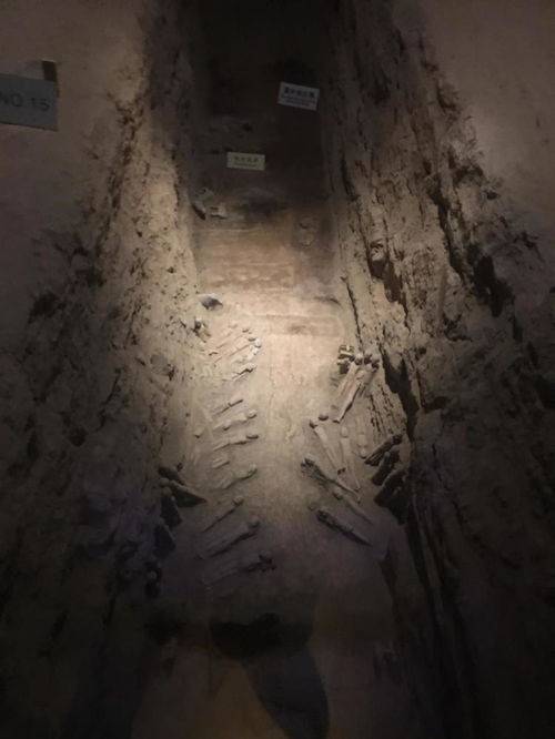 哲理游戏精选推荐:下载量爆表的心灵之旅 哲理游戏精选推荐:下载量爆表的心灵之旅