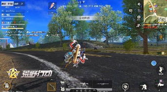 达里尔英雄攻略:深度解析荒野乱斗最强英雄崛起秘诀 达里尔英雄攻略:深度解析荒野乱斗最强英雄崛起秘诀