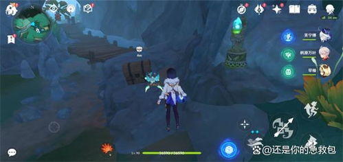 《原神》4.4全苍灵鲤速刷攻略:隐藏位置大揭秘! 《原神》4.4全苍灵鲤速刷攻略:隐藏位置大揭秘!