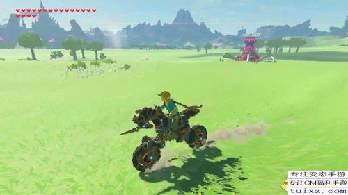 《塞尔达传说》飞天摩托9费无偏移攻略，轻松飞越王国！