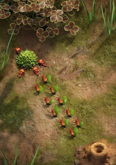 小小蚁国野怪养成秘籍:高效攻略全解析 小小蚁国野怪养成秘籍:高效攻略全解析