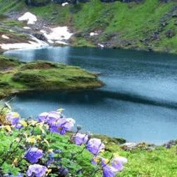 烟雨江湖:独闯江湖,解锁单主角通关秘境之旅 烟雨江湖:独闯江湖,解锁单主角通关秘境之旅