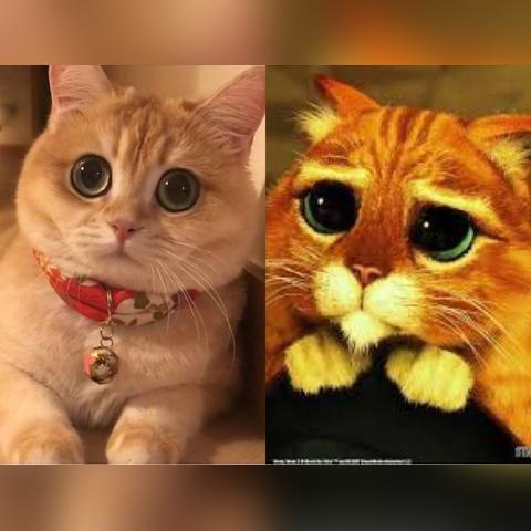 二次元游戏人气排行,盘点十大必玩佳作推荐 二次元游戏人气排行,盘点十大必玩佳作推荐