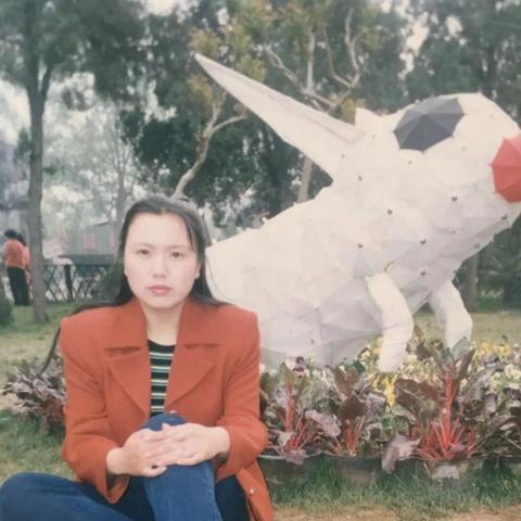 光武中兴攻略秘籍:解锁无悔华夏新境界 光武中兴攻略秘籍:解锁无悔华夏新境界