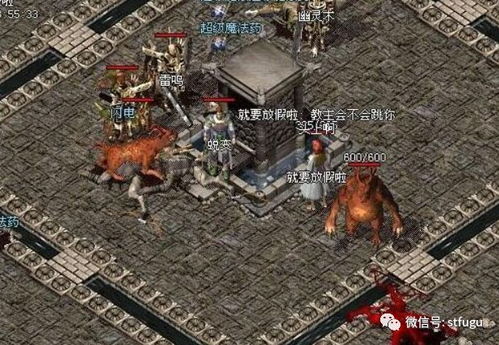 无极献帝生死战：揭秘曹魏传奇16层救援秘策