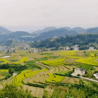 水墨魅力尽收眼底：盘点十大必玩水墨游戏精选