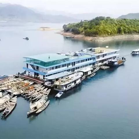 咸鱼之王锦鲤搭配攻略:黄金锦鲤升级秘籍大公开 咸鱼之王锦鲤搭配攻略:黄金锦鲤升级秘籍大公开