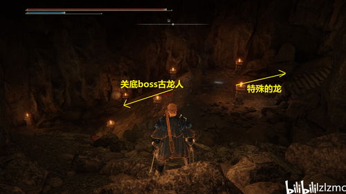 《艾尔登法环》DLC黄金树之影:轻松解锁岩石与女巫心脏攻略 《艾尔登法环》DLC黄金树之影:轻松解锁岩石与女巫心脏攻略