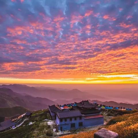 《地平线晨曦》全搜集秘籍:电池、容器、望点攻略速查 《地平线晨曦》全搜集秘籍:电池、容器、望点攻略速查