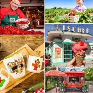 热门农场管理游戏下载排行，揭秘十大热门秘籍