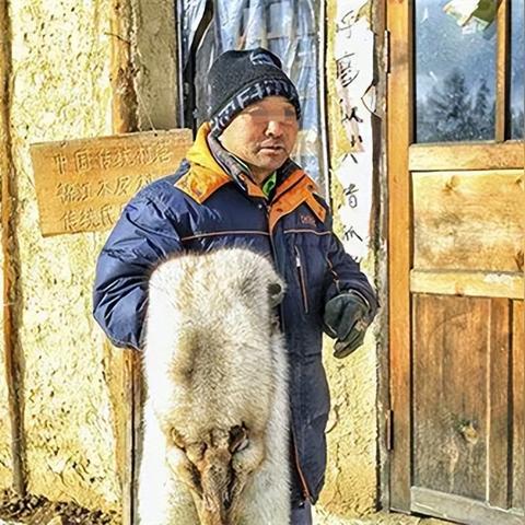 风雪山林秘境攻略:地下城堡3深度解析,解锁全新生存技巧 风雪山林秘境攻略:地下城堡3深度解析,解锁全新生存技巧