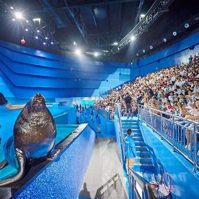 精选平台跳跃游戏,畅玩新体验推荐! 精选平台跳跃游戏,畅玩新体验推荐!