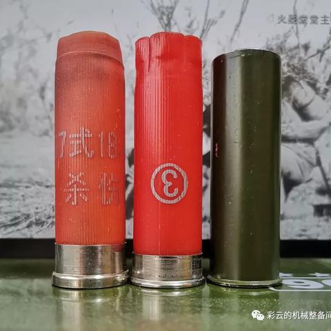 霰弹枪绝技搭配攻略:弹壳特攻队新战术解析 霰弹枪绝技搭配攻略:弹壳特攻队新战术解析