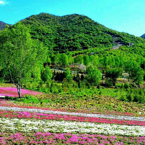 盘点热门佛系游戏:揭秘高人气休闲秘境 盘点热门佛系游戏:揭秘高人气休闲秘境