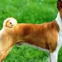 盘点热门可爱游戏,解锁趣味排行榜新体验 盘点热门可爱游戏,解锁趣味排行榜新体验