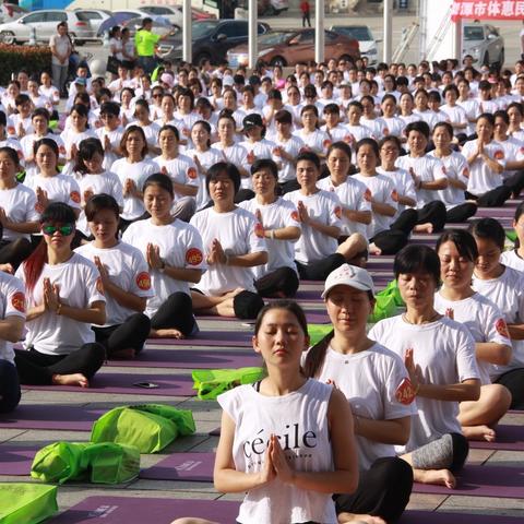 精选政治模拟游戏,领略策略新境界 精选政治模拟游戏,领略策略新境界