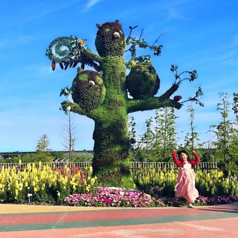 梦幻花园金币攻略:高效攒金秘籍大公开,轻松升级! 梦幻花园金币攻略:高效攒金秘籍大公开,轻松升级!