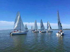 最新盘点:帆船游戏大揭秘,体验航海新境界 最新盘点:帆船游戏大揭秘,体验航海新境界