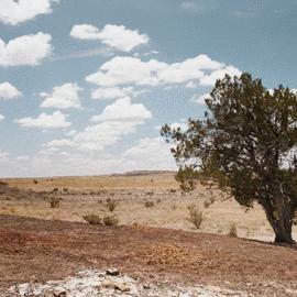 地下城堡3:永恒焦土深度攻略,全图鉴解锁宝藏秘境 地下城堡3:永恒焦土深度攻略,全图鉴解锁宝藏秘境