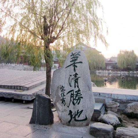 动森新更新激战最佳椅子，家具收藏新潮流！