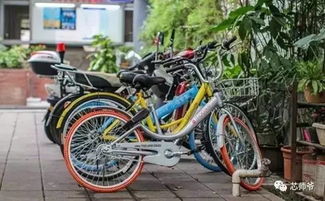 耐玩指数飙升!盘点自行车游戏十大热门排行榜 耐玩指数飙升!盘点自行车游戏十大热门排行榜