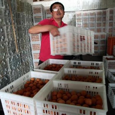 《绝区零》A级角色强度榜:培养攻略,实力崛起! 《绝区零》A级角色强度榜:培养攻略,实力崛起!