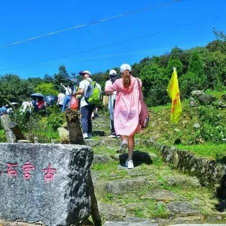 航海热门排行揭秘:探索巅峰人气航海游戏精选 航海热门排行揭秘:探索巅峰人气航海游戏精选