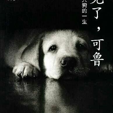 盘点最新Q版游戏,揭秘热门值得玩佳作推荐 盘点最新Q版游戏,揭秘热门值得玩佳作推荐