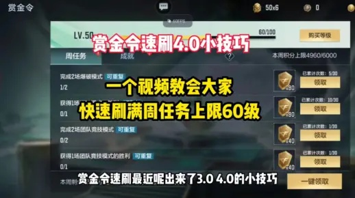 赏金令速通秘籍:高效攻略新视角 赏金令速通秘籍:高效攻略新视角