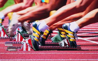 最新盘点：体育游戏盛宴，揭秘热门好玩的运动竞技盛宴