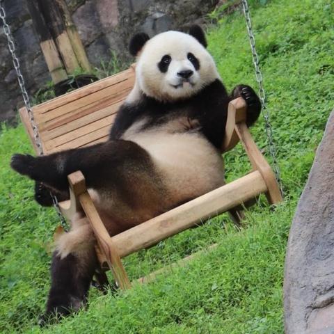 搞笑游戏盘点:揭秘热门人气排行榜前十佳选 搞笑游戏盘点:揭秘热门人气排行榜前十佳选