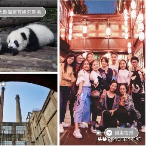 萌团子副本通关秘籍：轻松掌握三国战纪新攻略