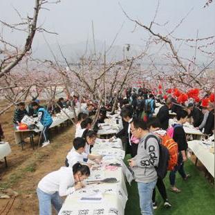 十大经典漫步游戏盘点:探寻最佳休闲体验 十大经典漫步游戏盘点:探寻最佳休闲体验