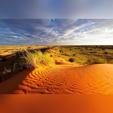 十大生存制作巅峰：揭秘经典开放世界游戏秘境