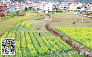 农庄建设新纪元!《金垦小镇》火车系统全新升级,开启高效耕作新时代 农庄建设新纪元!《金垦小镇》火车系统全新升级,开启高效耕作新时代