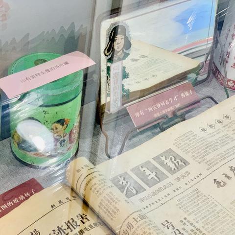 十大经典物品管理游戏盘点:探索收藏新境界 十大经典物品管理游戏盘点:探索收藏新境界