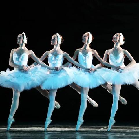 梦幻花园1876通关秘籍：高效攻略新解法