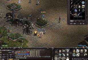 狩猎热门排行揭秘：十大人气狩猎游戏盘点