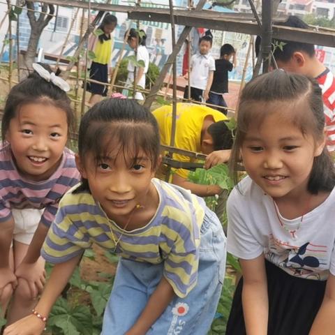 最新盘点：农场模拟游戏热门玩法大揭秘，探索无限乐趣新境界