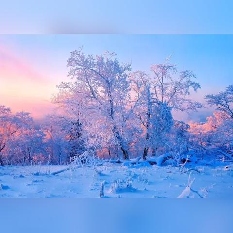 最新雪游戏盘点:不容错过的冬季娱乐精选 最新雪游戏盘点:不容错过的冬季娱乐精选