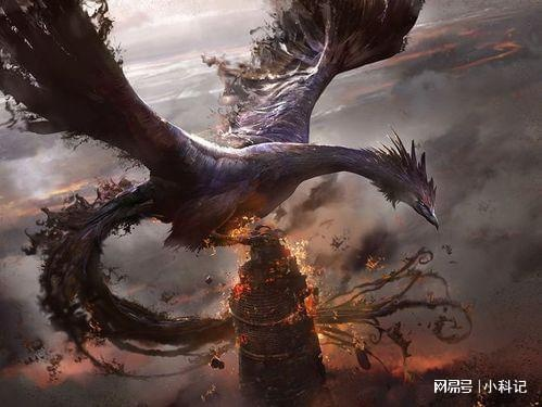 《光芒重生:困兽独立进化,凯尔归来好评如潮,品质新升级》 《光芒重生:困兽独立进化,凯尔归来好评如潮,品质新升级》