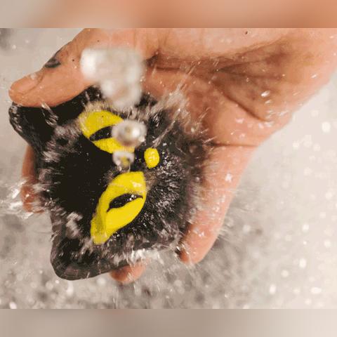 《黑猫速递》首月销量爆表,好评如潮,创新体验引领潮流 《黑猫速递》首月销量爆表,好评如潮,创新体验引领潮流