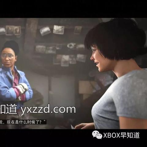 精选单机合作游戏:揭秘最佳互动体验攻略 精选单机合作游戏:揭秘最佳互动体验攻略