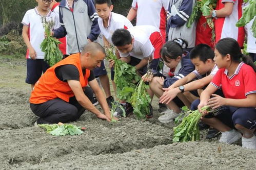 童年经典盘点:人气童年游戏排行大揭秘,重温儿时欢乐时光 童年经典盘点:人气童年游戏排行大揭秘,重温儿时欢乐时光