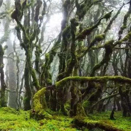 最新无双游戏盘点:探寻热门好玩新体验 最新无双游戏盘点:探寻热门好玩新体验