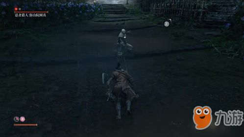 《只狼》全任务攻略汇总！解锁隐藏收集与结局秘籍