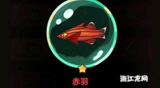 咸鱼之王赤羽速刷新攻略，高效技巧助你轻松升级！