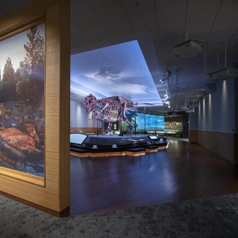 最新拟真游戏盘点:揭秘沉浸式体验新巅峰 最新拟真游戏盘点:揭秘沉浸式体验新巅峰