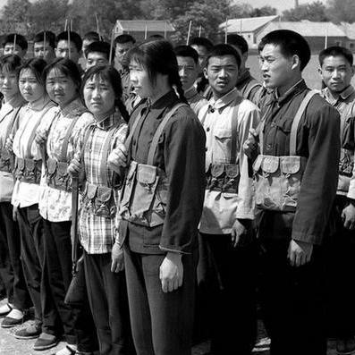 坦克猫3.0攻略秘籍:登顶冒险公社必备技巧解析 坦克猫3.0攻略秘籍:登顶冒险公社必备技巧解析