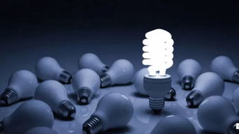 十大经典反应游戏盘点:揭秘热门互动娱乐新趋势 十大经典反应游戏盘点:揭秘热门互动娱乐新趋势